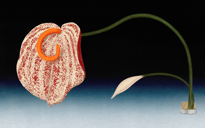 AlexineHuet_motion_illustration_jd_motion_agent_anim-full-ezgif.com-video-to-gif-converter