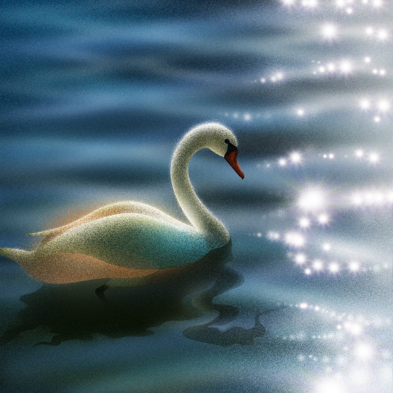 Swan-study_Andreea-Jurj