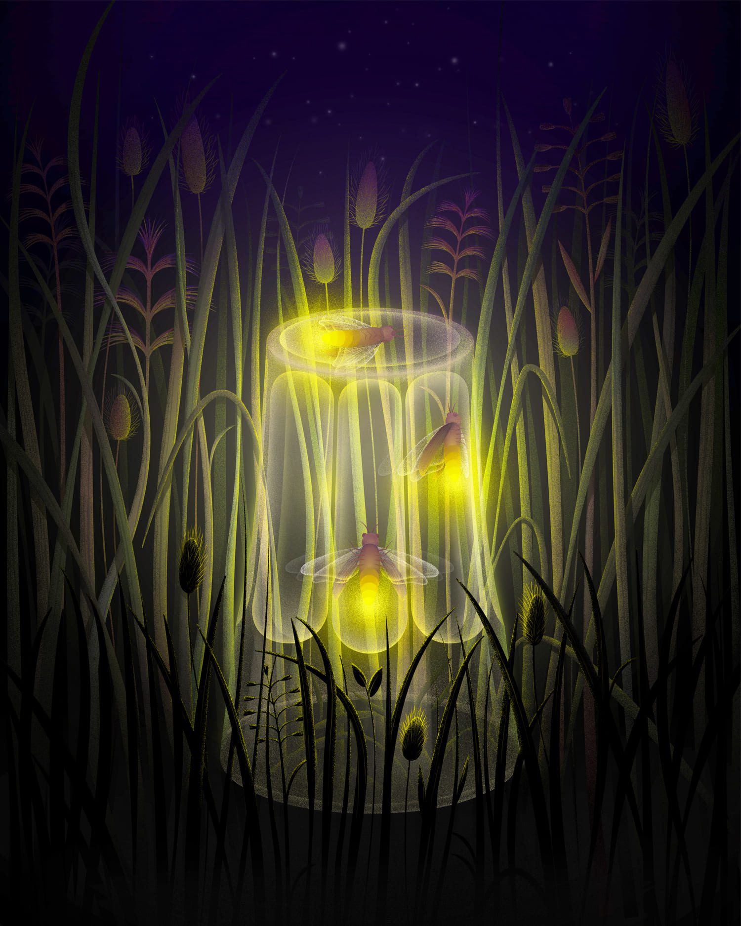 Trapped_Fireflies_Andreea-Jurj-1 (1)
