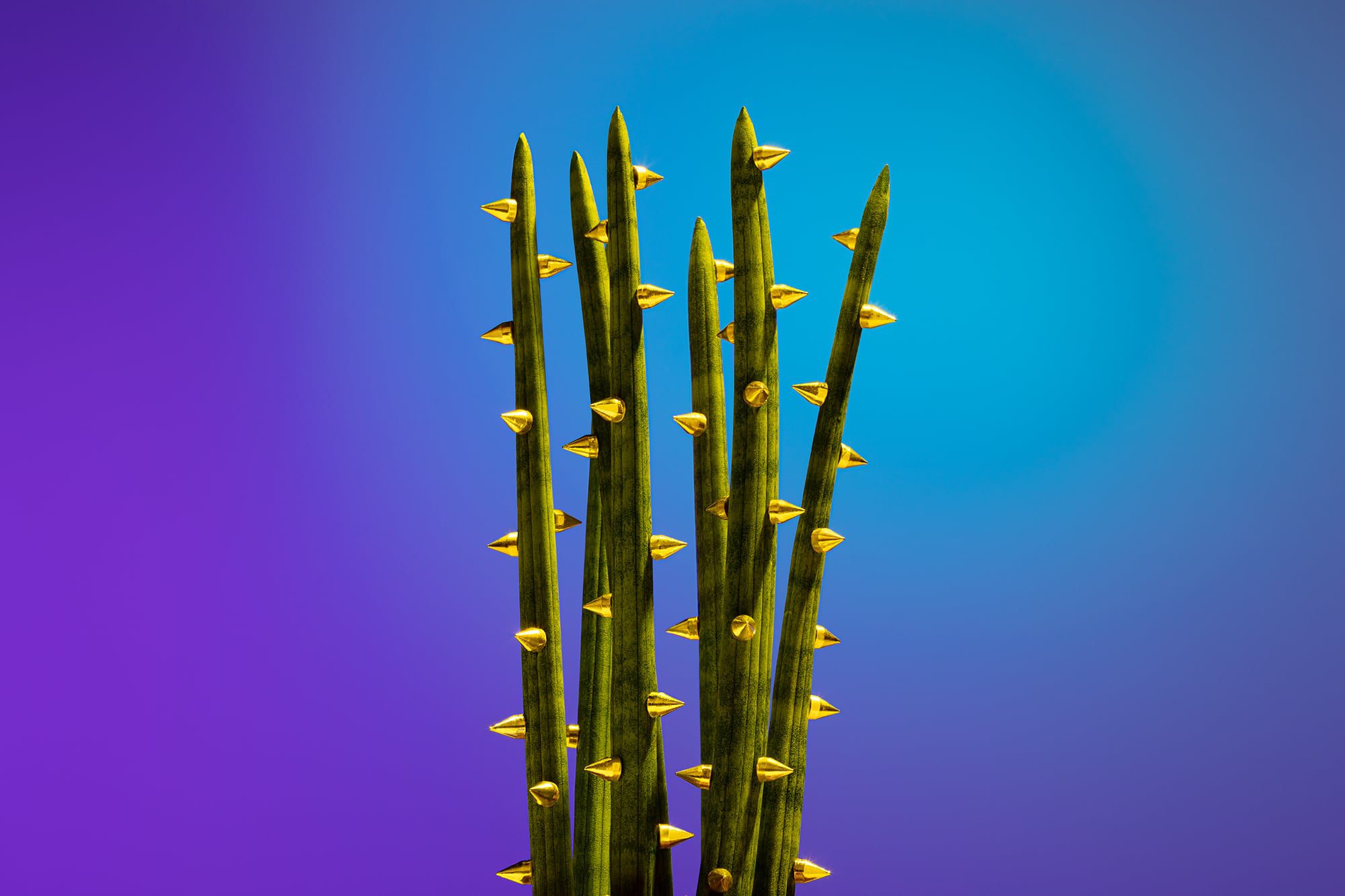 twenty-fauve-glam-nature-2-1